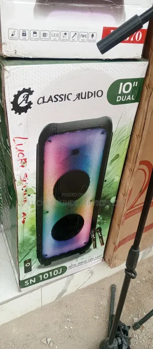 Classic Audio Double 10" Pa System
