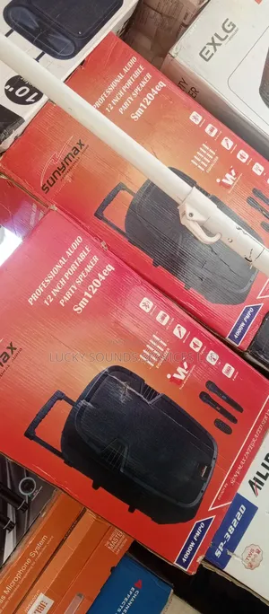 Sonymax Pa System 12"