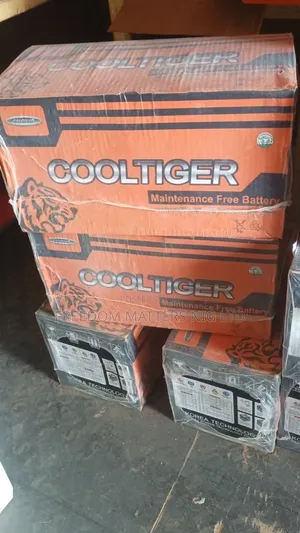 Cool Tiger 100ahm Battery