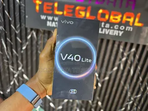 New Vivo V40 Lite 256 GB Silver