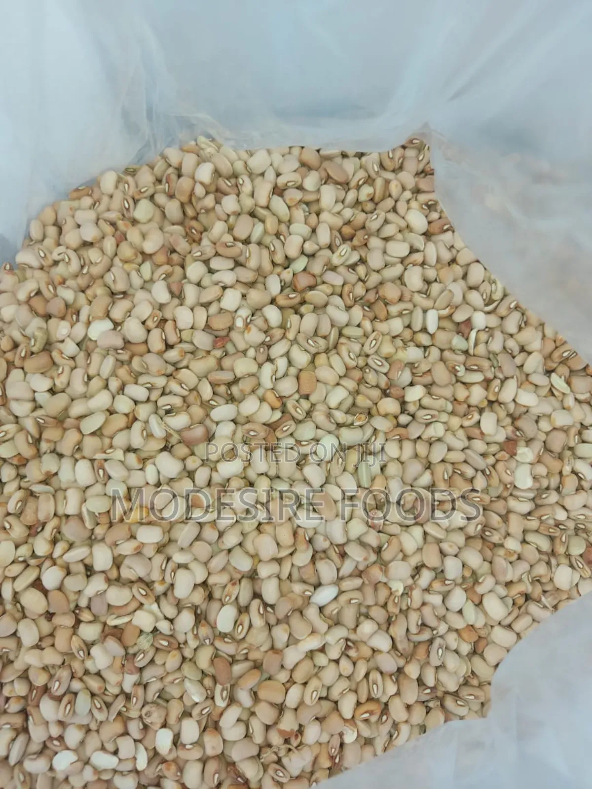 Ewa Oloyin Cleaned and Well Picked