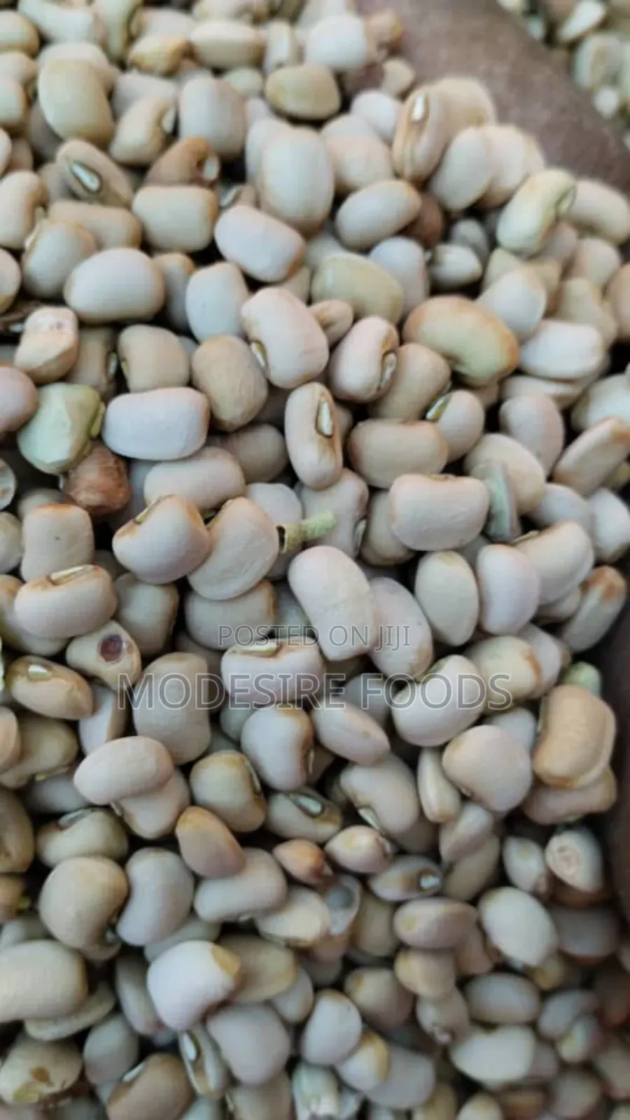 Ewa Oloyin Cleaned and Well Picked