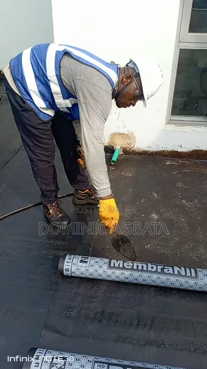 Lissome Waterproofing Expert