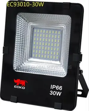 30w Ecko Flood Light