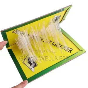 Green Catch Mouse and Rat Gum