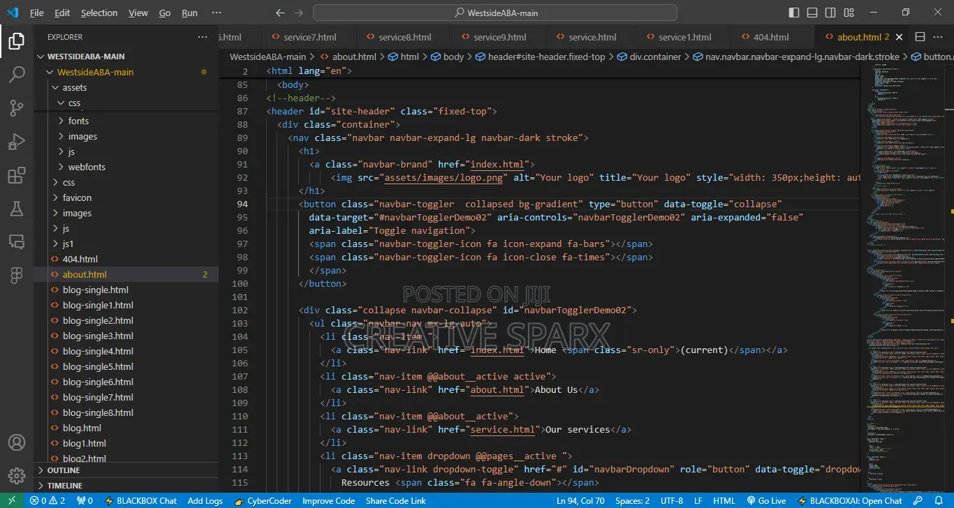 Expert Web Developer