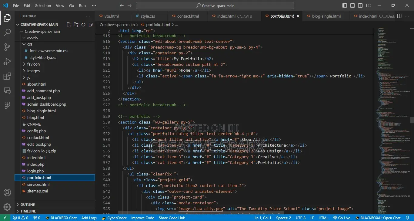 Expert Web Developer