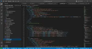 Expert Web Developer