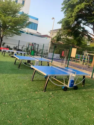 Outdoor Table Tennis Board