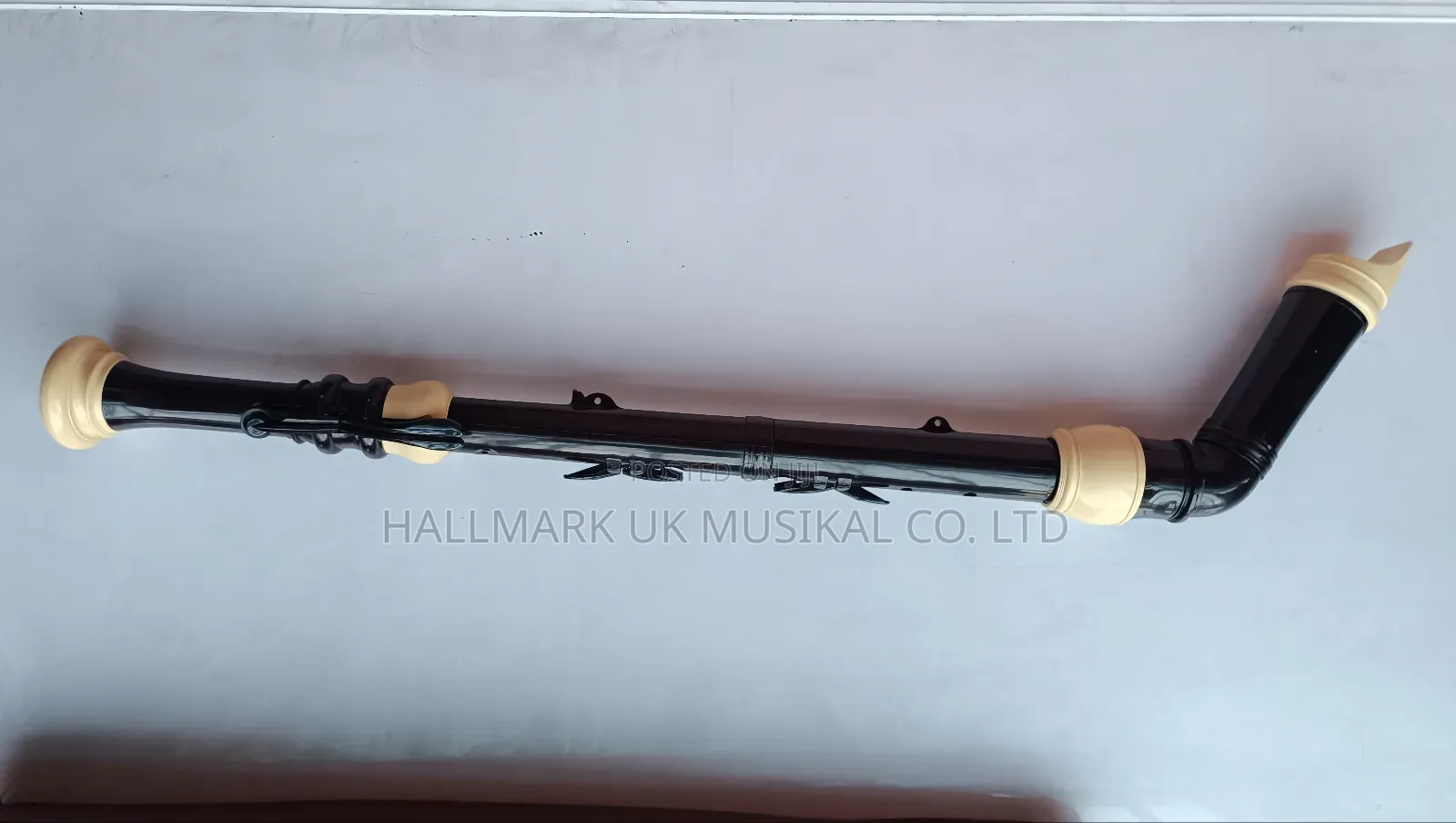 Hallmark-Uk Professional Baas Recorder
