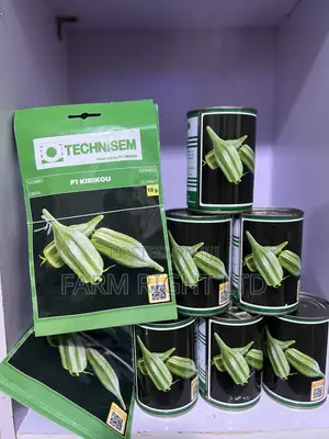 Hybrid Okra Kirikuo F1 Seeds 100grams