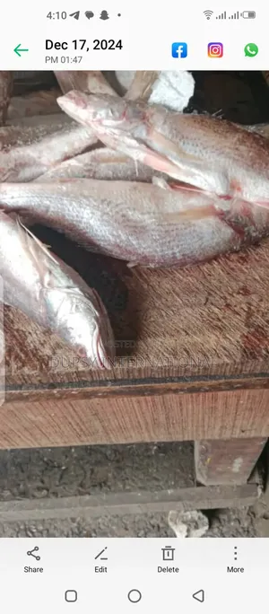 Miss 2 Sea Fish Bag