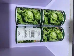 Lettuce Eden Seeds 100grams