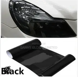 Universal Headlight With Back Lights Tinted Material