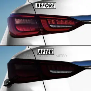 Universal Headlight With Back Lights Tinted Material