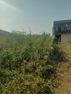 Half Plot of Land at Kajola Estate Igbolomu Agric Ikordu Lagos