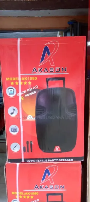 Akason 15inches Public Address System With 2 Mics