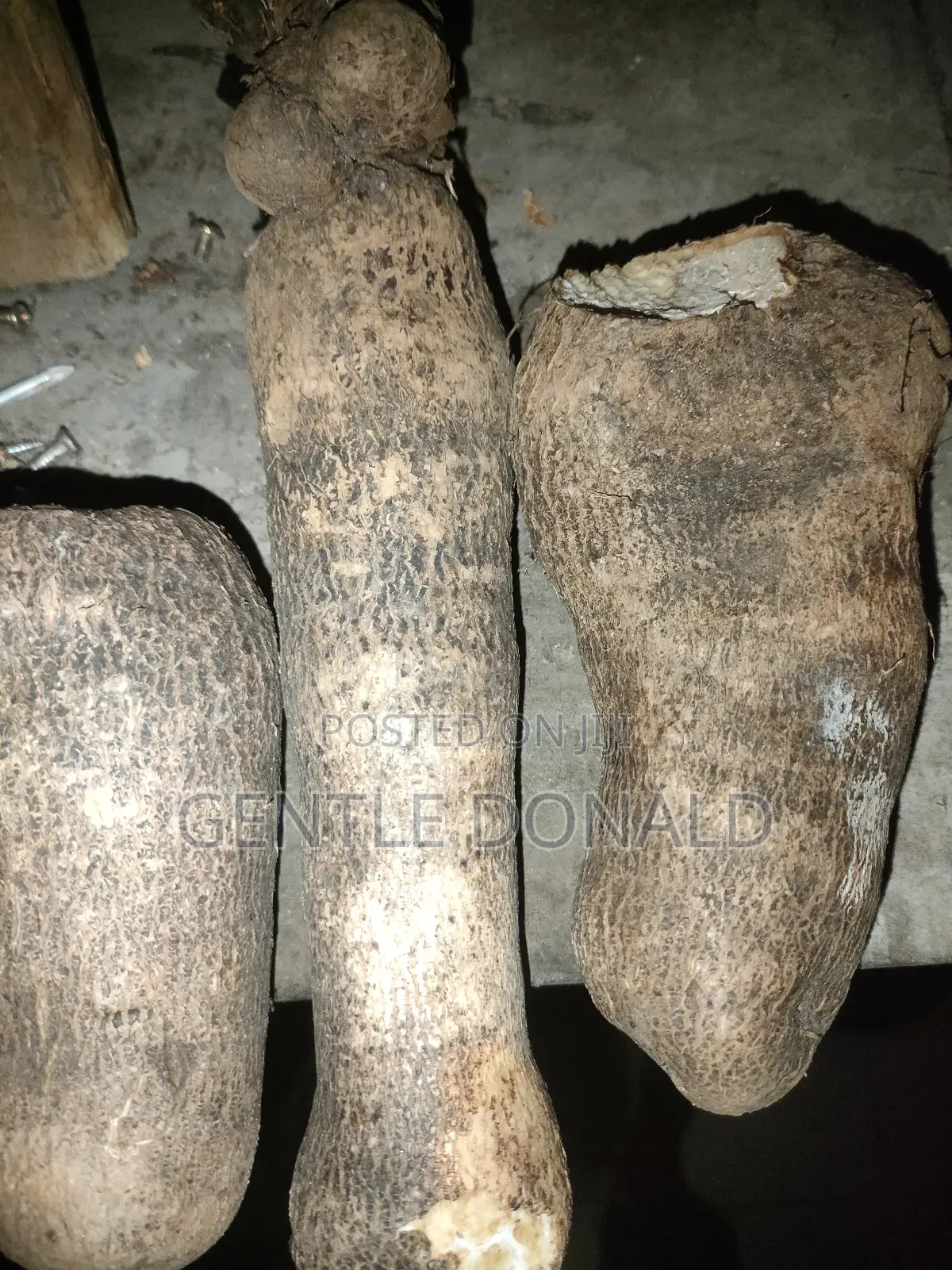 Treated Seed Yams