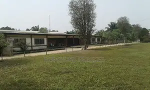 15 Plots Of Land For Sale
