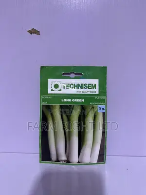 Leek Seeds