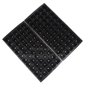 Seedling Trays 128 Cell