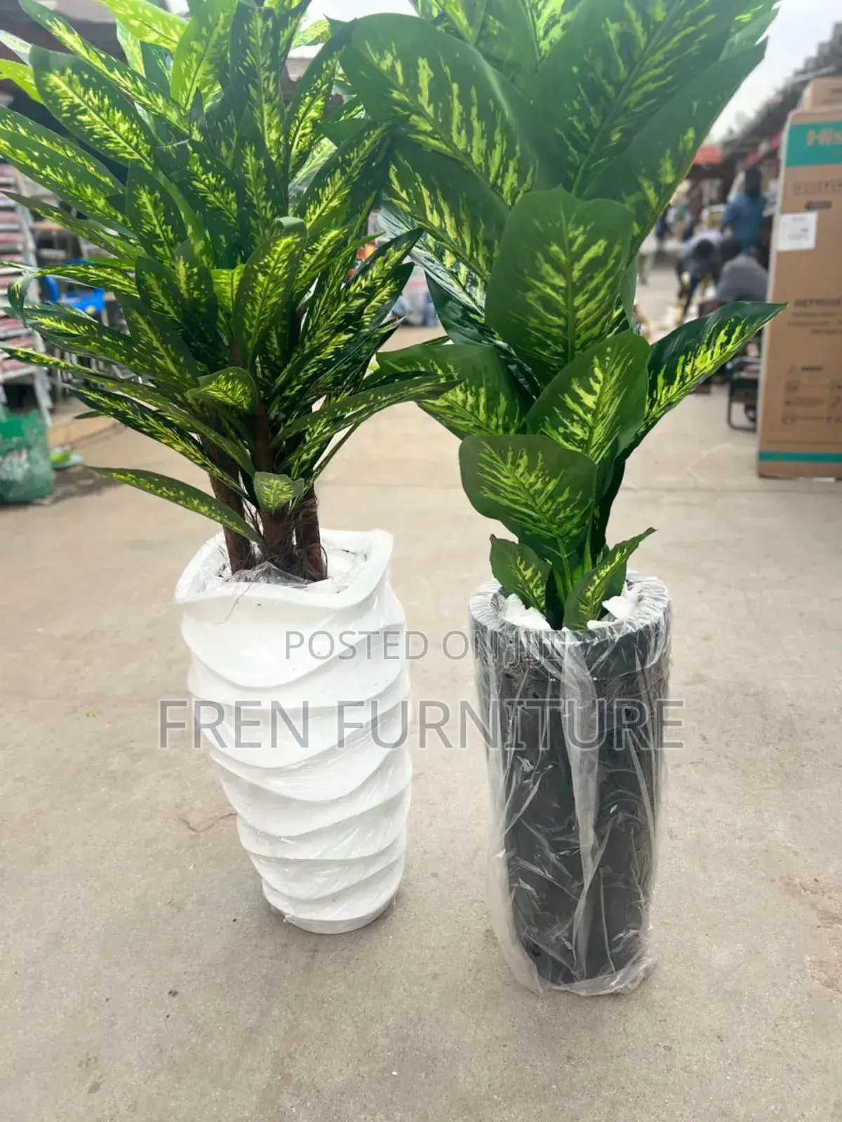 New Imported High Quality Flower