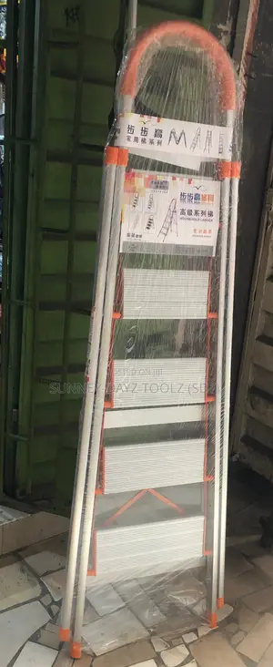 5 Step Household Ladder