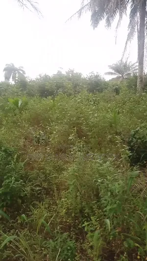 31 Plots of Land
