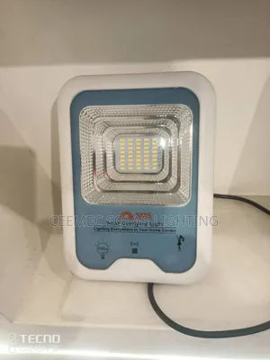 100W Solar Flood-Light With Separate Panel