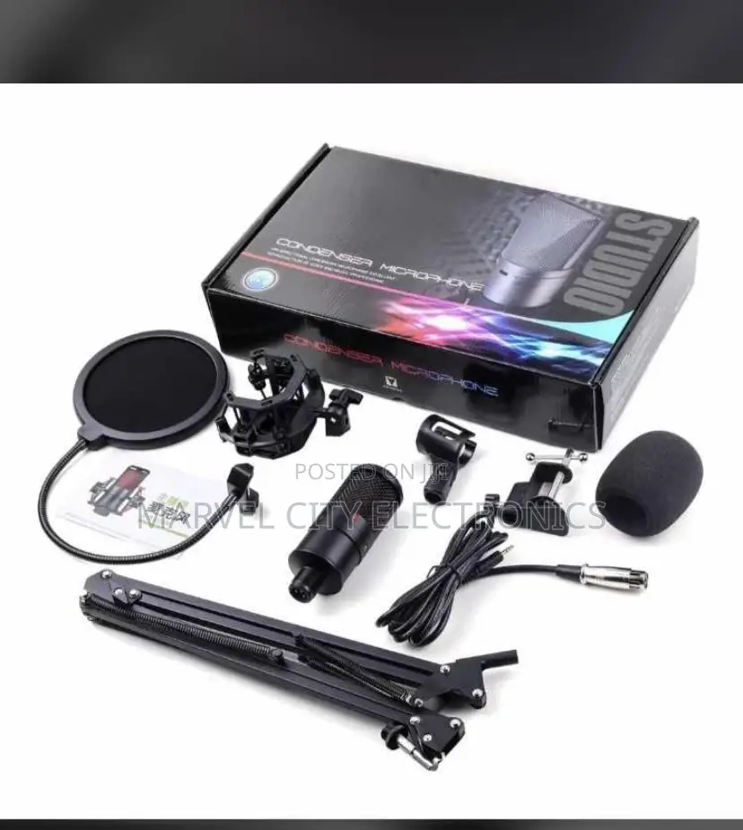 Ds 170 Studio Microphone