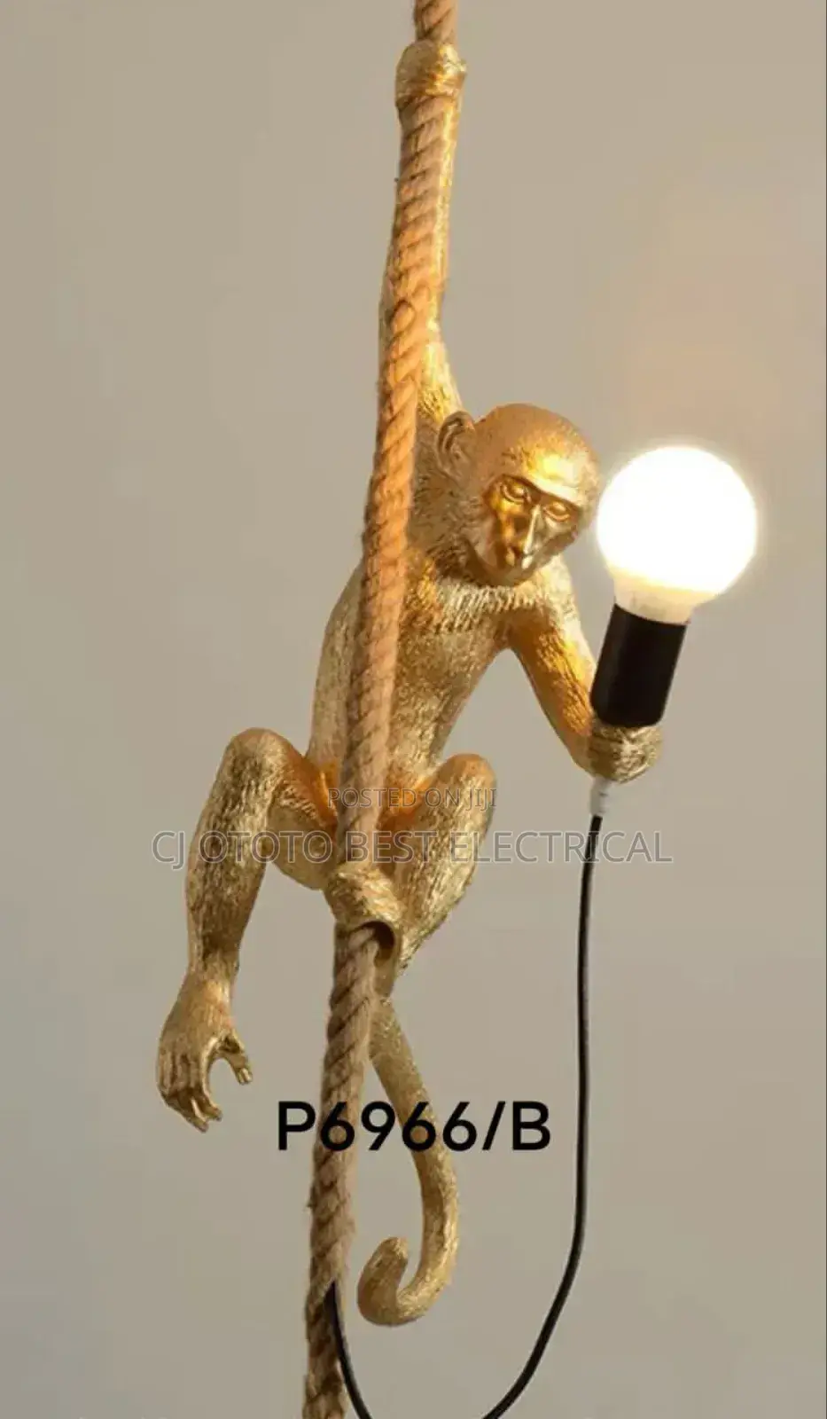 Monkey Light Still Available