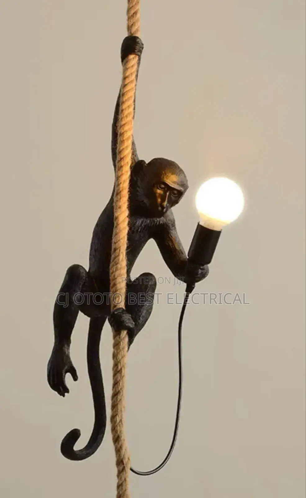 Monkey Light Still Available