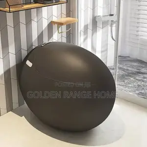 Electric Sensor Watercloset (Black Colour)