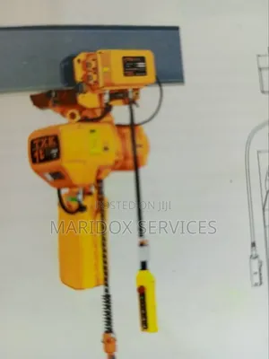 Electric Chain Hoist 5tonsx10m