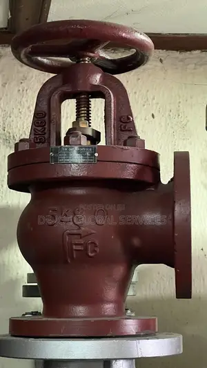 Jis 80 Cast Iron Angle Globe Valve