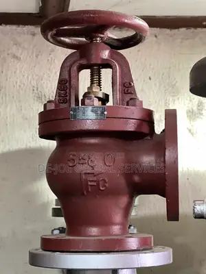 Jis 80 Cast Iron Angle Globe Valve