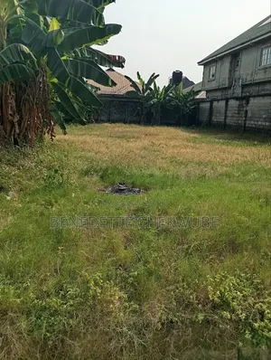 For Sale: Two Plots of Land .