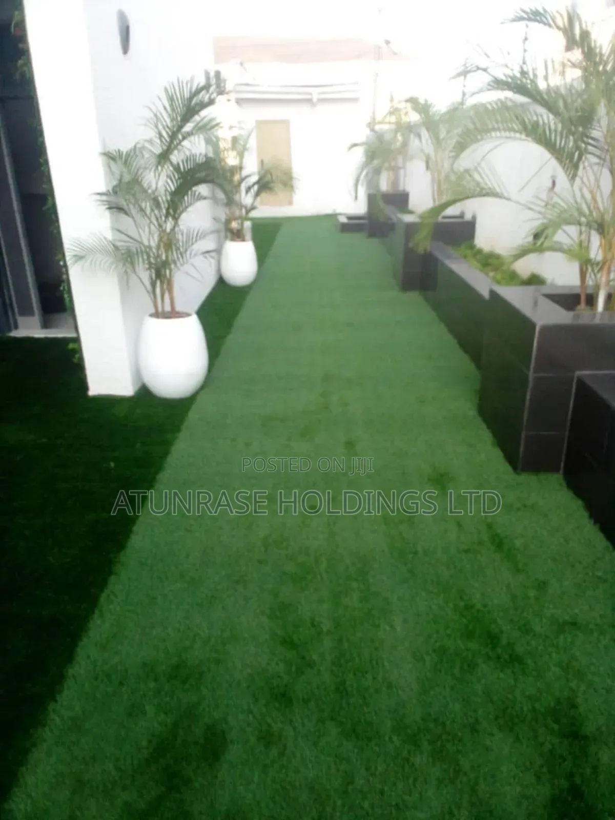 Grass Carpet of Different Quality With Hard Backings