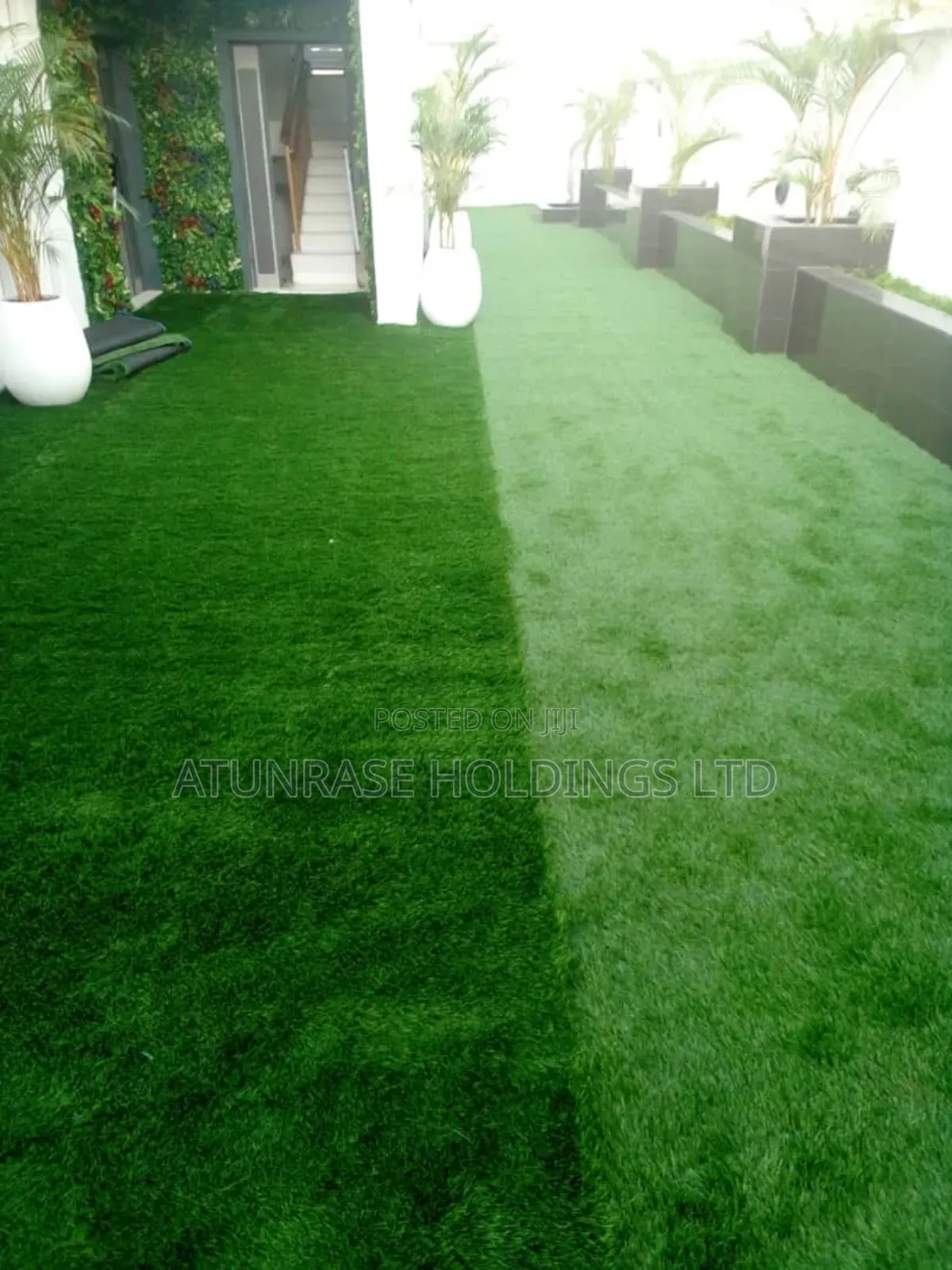 Grass Carpet of Different Quality With Hard Backings