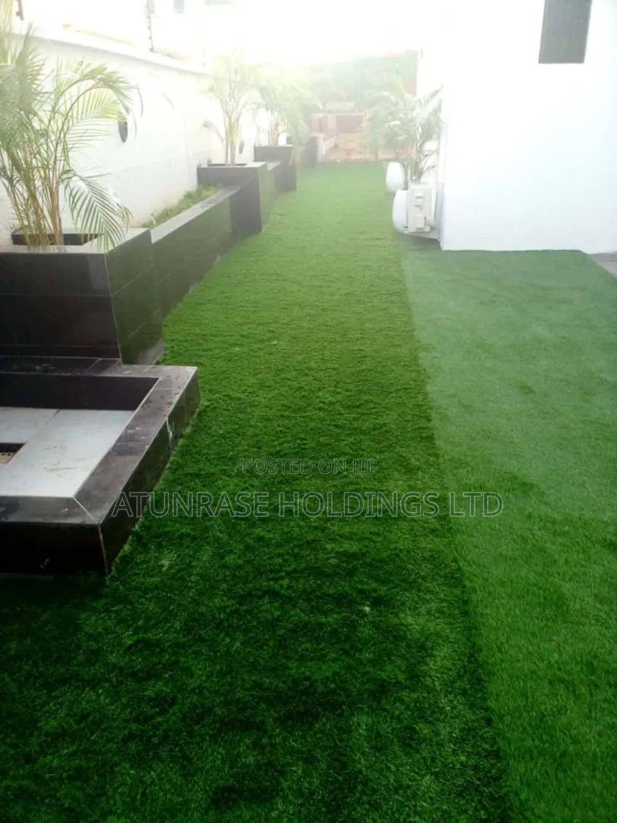 Grass Carpet of Different Quality With Hard Backings