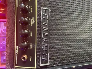 Fernandez Guitars Amplifiers Combo