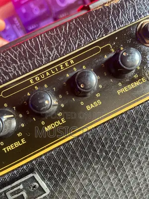 Fernandez Guitar Amplifiers