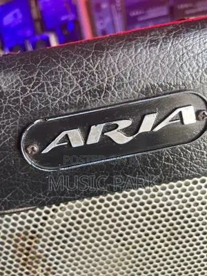 Guitar Amplfiier Combo