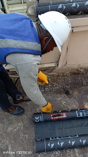 Ingenious Waterproofing Specialist