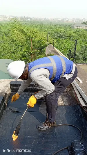 Ingenious Waterproofing Specialist