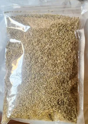 Dill Organic Seeds (Anethum Graveolens).250g