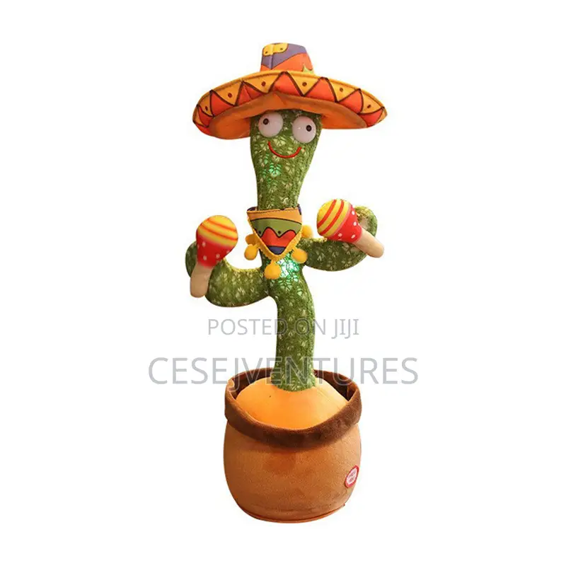 Cactus Baby Toys