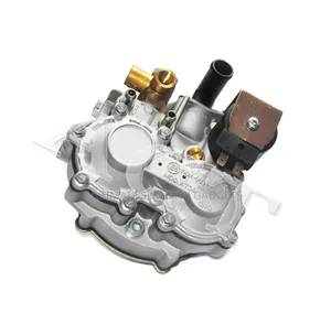 Open Loop CNG Conversion Kit for Carburetor Vehicles