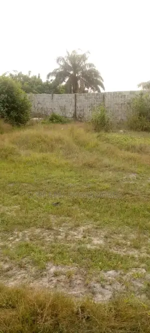 Buy and Build and All Inclusive in ABA