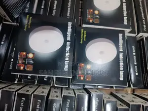 Intelligent Induction Light